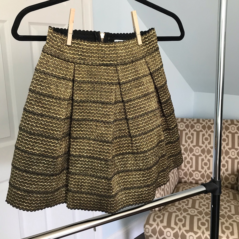 Shimmery Gold and Black Skirt